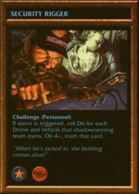 Security Rigger — image 1