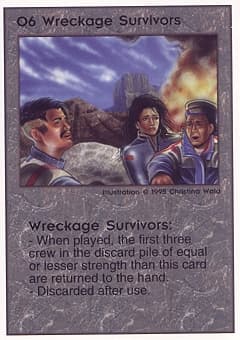 Wreckage Survivors — image 1