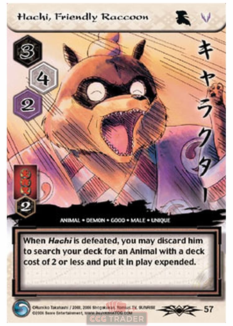 Hachi, Friendly Raccoon — image 1