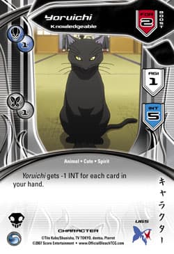 Yoruichi - Knowledgeable — image 1