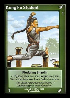 Kung Fu Student — image 1