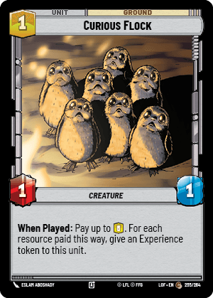 Curious Flock — image 1