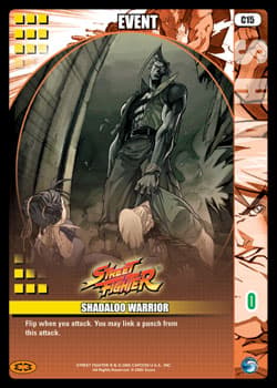 Shadaloo Warrior — image 1