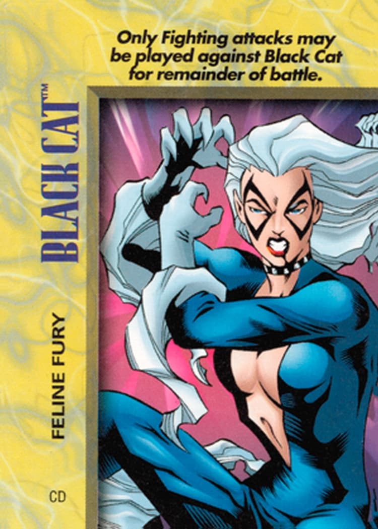 Black Cat Feline Fury — image 1
